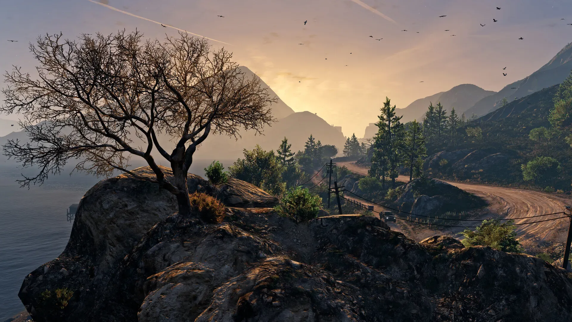 A bare tree on a rocky outcrop above the sea, with forested hills and a dirt road at sunset