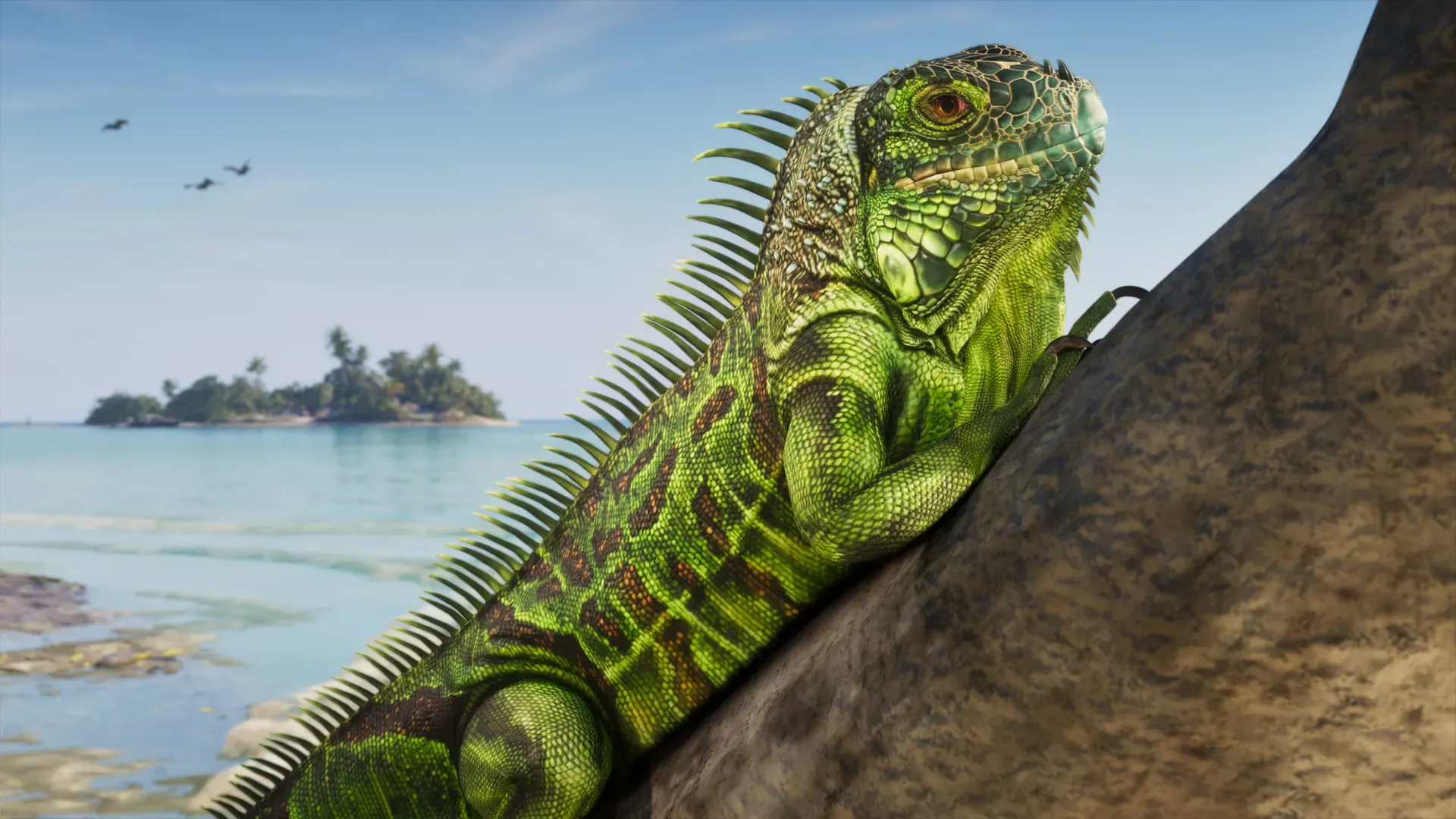 A green iguana on a rock in the Leonida Keys, with a small island in the sea behind it.