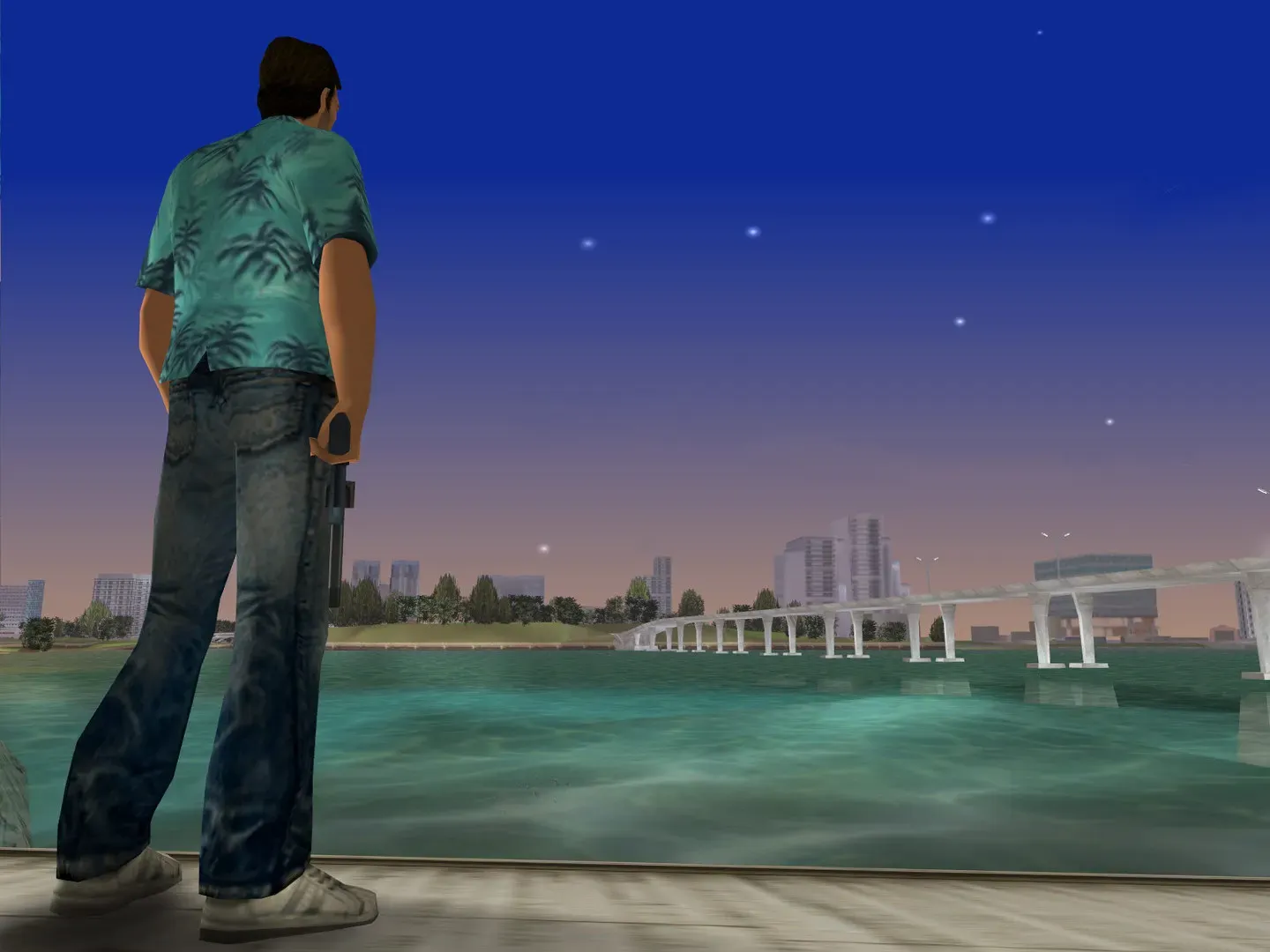Tommy, seen from behind, looks across the bay at night toward a long bridge and the city skyline