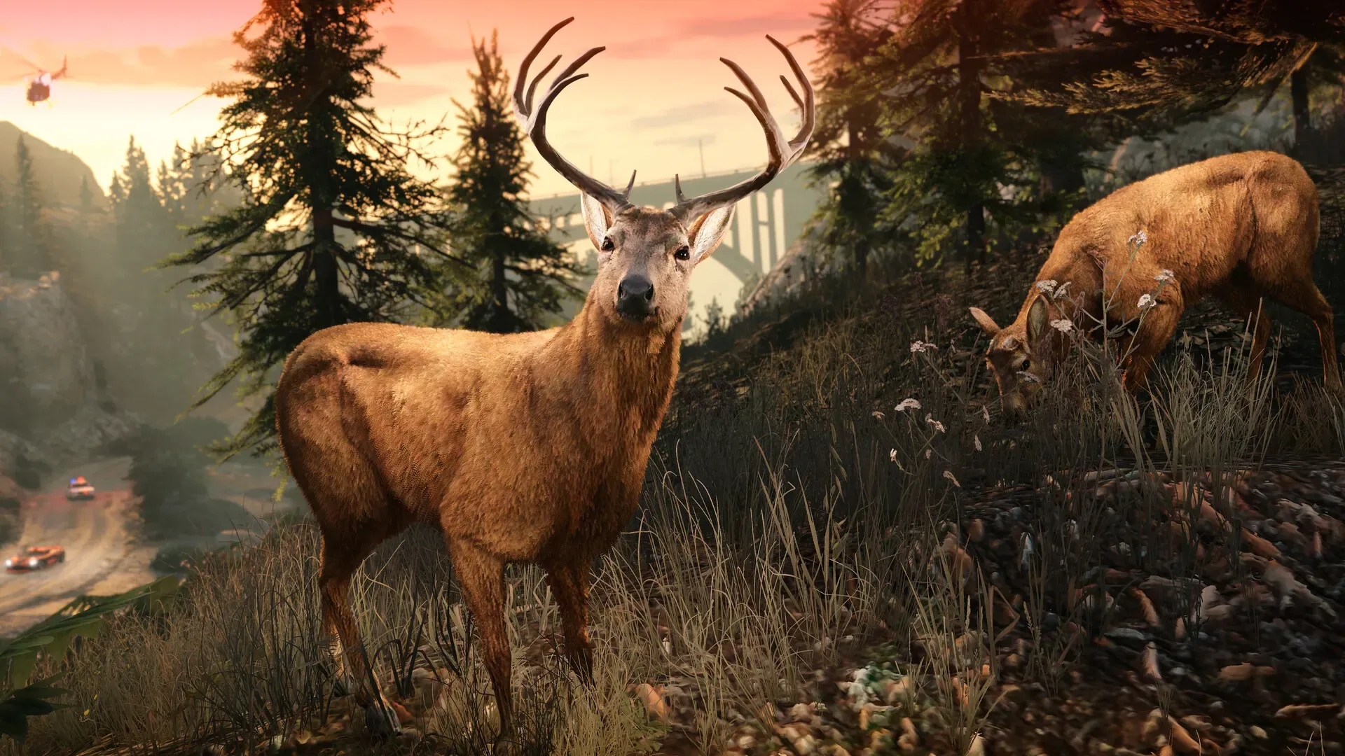 A stag and a doe in a pine forest at sunset, with a road and a bridge in the valley below